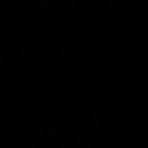 Meet your Posher, Chandra rose